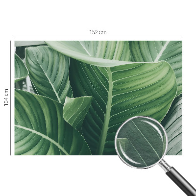 Fototapet vlies pentru living Florile simțurilor