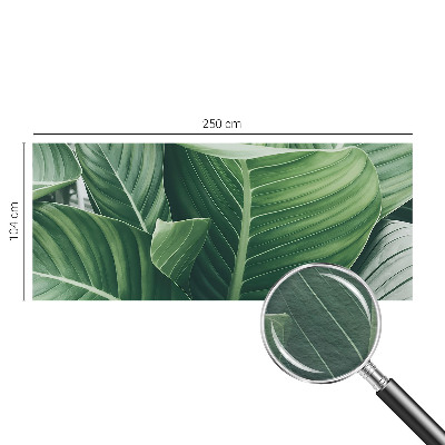 Fototapet vlies pentru living Florile simțurilor