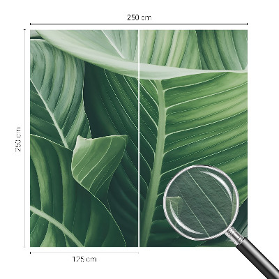 Fototapet vlies pentru living Florile simțurilor