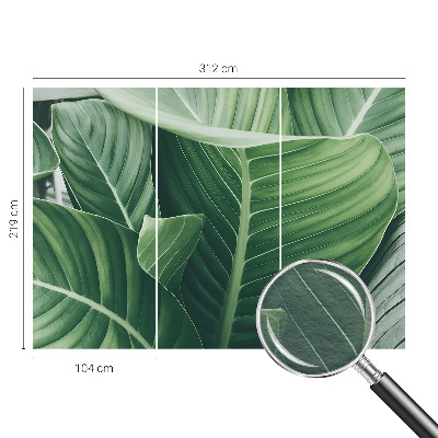 Fototapet vlies pentru living Florile simțurilor