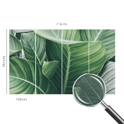 Fototapet vlies pentru living Florile simțurilor