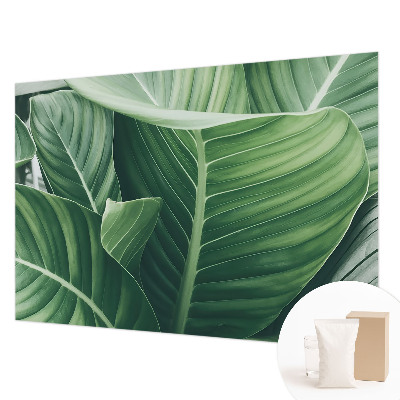 Fototapet vlies pentru living Florile simțurilor