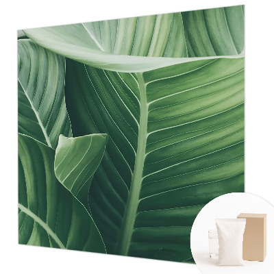 Fototapet vlies pentru living Florile simțurilor