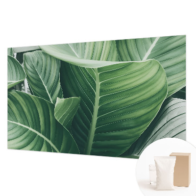 Fototapet vlies pentru living Florile simțurilor