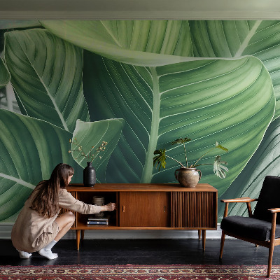 Fototapet vlies pentru living Florile simțurilor