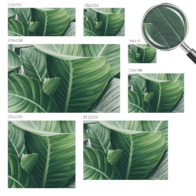 Fototapet vlies pentru living Florile simțurilor