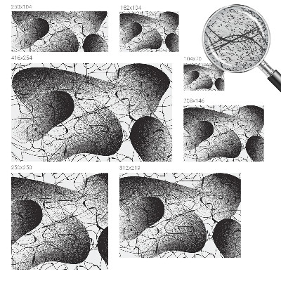 Fototapet la comandă pentru dormitor Păsări pitorești