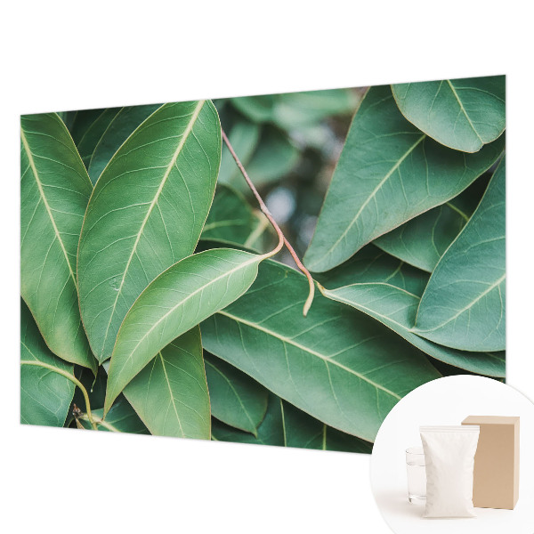 Fototapet pe perete Flori insecte