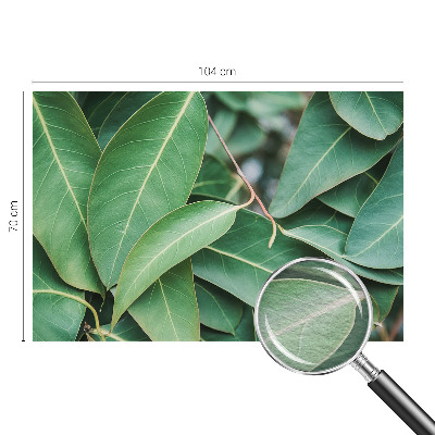 Fototapet pe perete Flori insecte