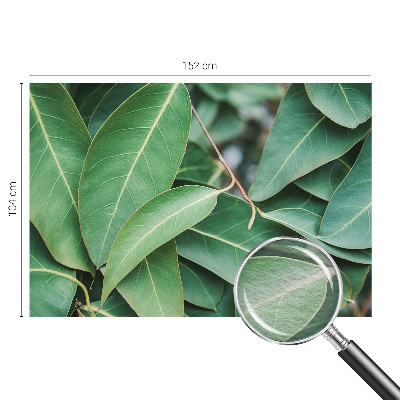 Fototapet pe perete Flori insecte