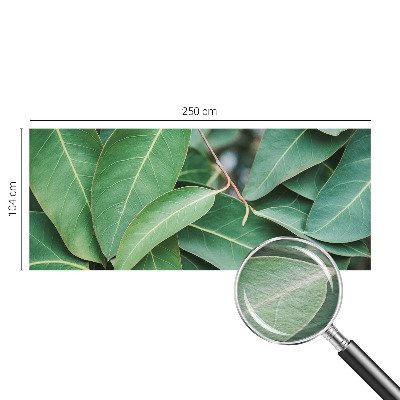 Fototapet pe perete Flori insecte