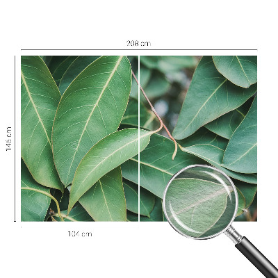 Fototapet pe perete Flori insecte