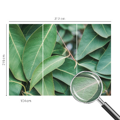 Fototapet pe perete Flori insecte