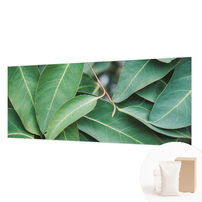 Fototapet pe perete Flori insecte