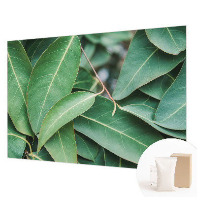 Fototapet pe perete Flori insecte