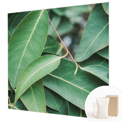 Fototapet pe perete Flori insecte