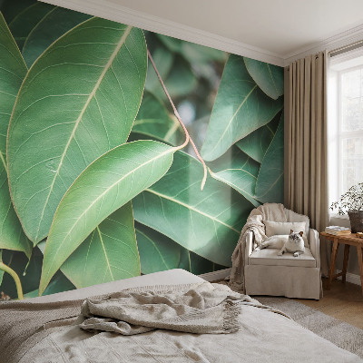 Fototapet pe perete Flori insecte