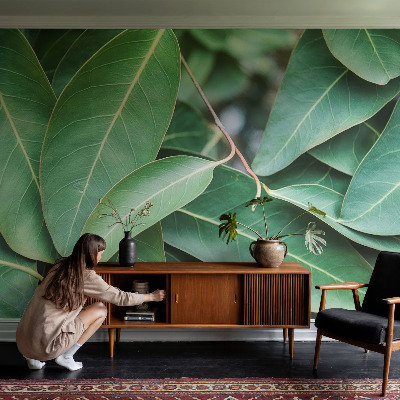 Fototapet pe perete Flori insecte