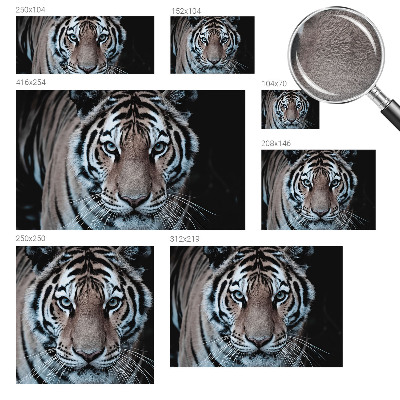 Fototapet vlies imprimat Eleganță floristică