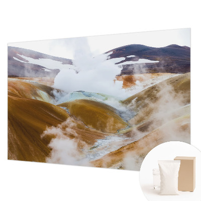 Fototapet vlies pentru dormitor cu design cu anemone elegante