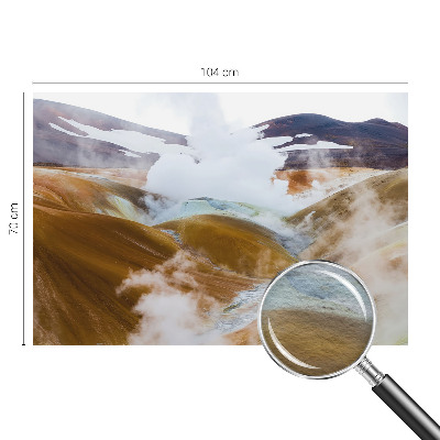 Fototapet vlies pentru dormitor Anemone elegante