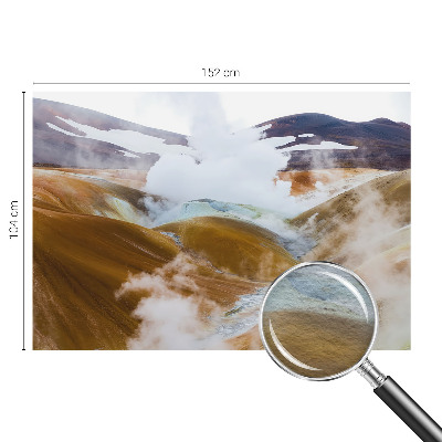 Fototapet vlies pentru dormitor Anemone elegante