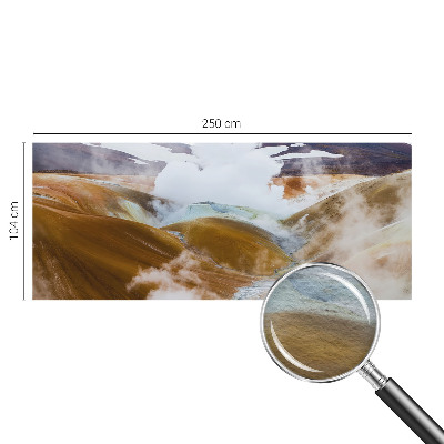 Fototapet vlies pentru dormitor Anemone elegante