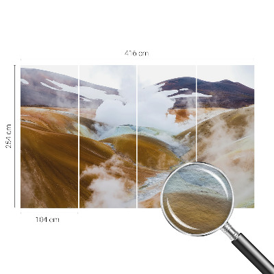 Fototapet vlies pentru dormitor Anemone elegante