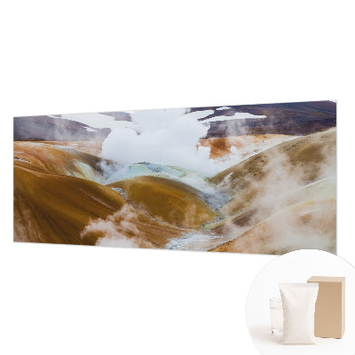 Fototapet vlies pentru dormitor Anemone elegante