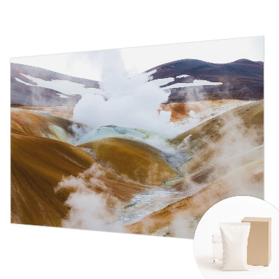 Fototapet vlies pentru dormitor Anemone elegante