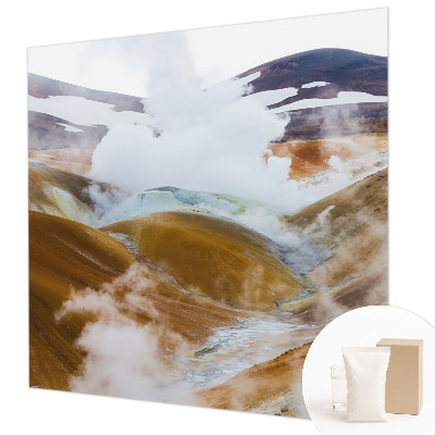 Fototapet vlies pentru dormitor Anemone elegante