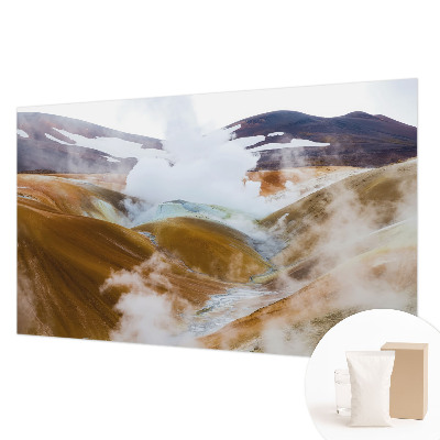 Fototapet vlies pentru dormitor Anemone elegante