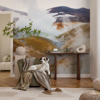 Fototapet vlies pentru dormitor Anemone elegante