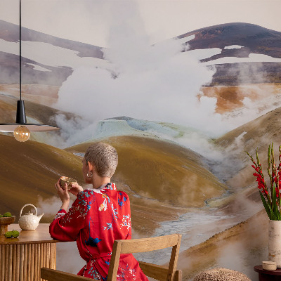 Fototapet vlies pentru dormitor Anemone elegante