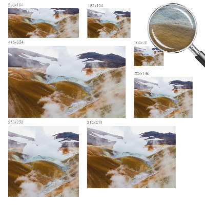 Fototapet vlies pentru dormitor Anemone elegante