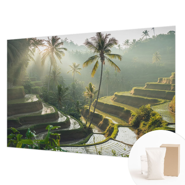 Fototapet pe perete Armonia pădurii