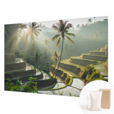 Fototapet pe perete Armonia pădurii