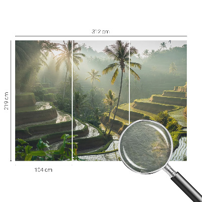 Fototapet pe perete Armonia pădurii