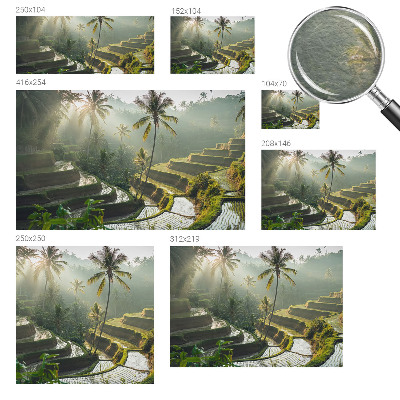 Fototapet pe perete Armonia pădurii