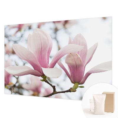 Fototapet pentru living cu gravuri reprezentând ciuperci