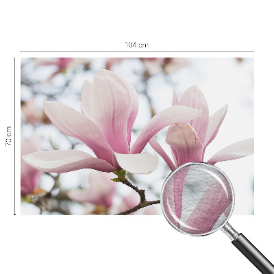 Fototapet pentru living Gravuri cu ciuperci