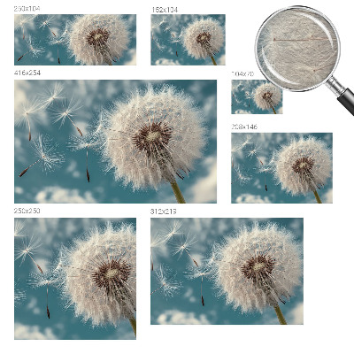 Fototapet modern Flori sălbatice