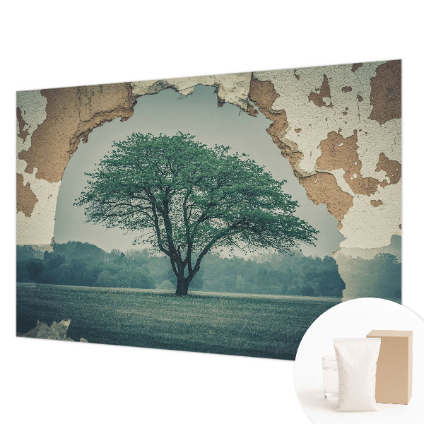 Fototapet vlies pentru living Plasă de dantelă