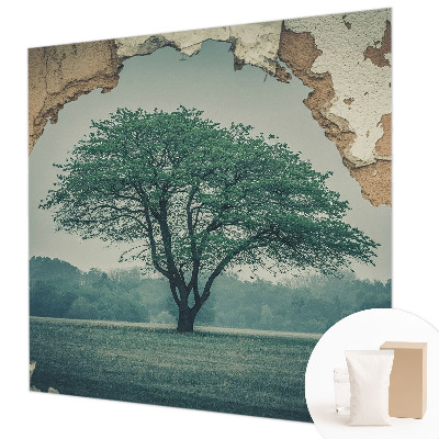 Fototapet vlies pentru living Plasă de dantelă