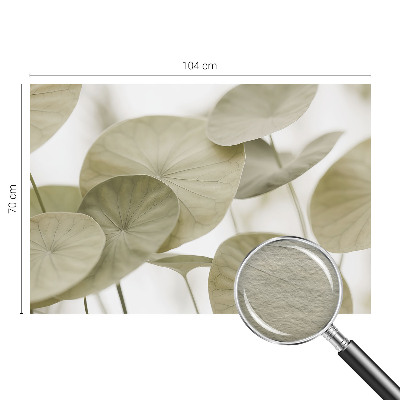 Tapet foto vlies Compoziții pământești