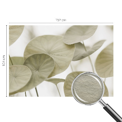 Tapet foto vlies Compoziții pământești