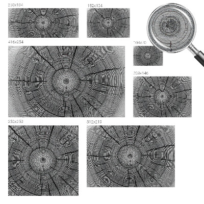 Fototapet la comandă pentru living Refugiu tropical