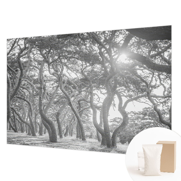 Fototapet modern la comandă Abstracție de copac