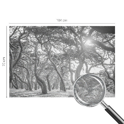 Fototapet modern la comandă Abstracție de copac