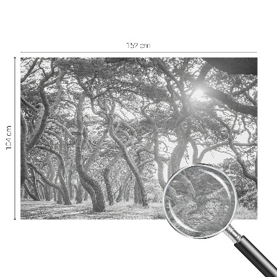 Fototapet modern la comandă Abstracție de copac